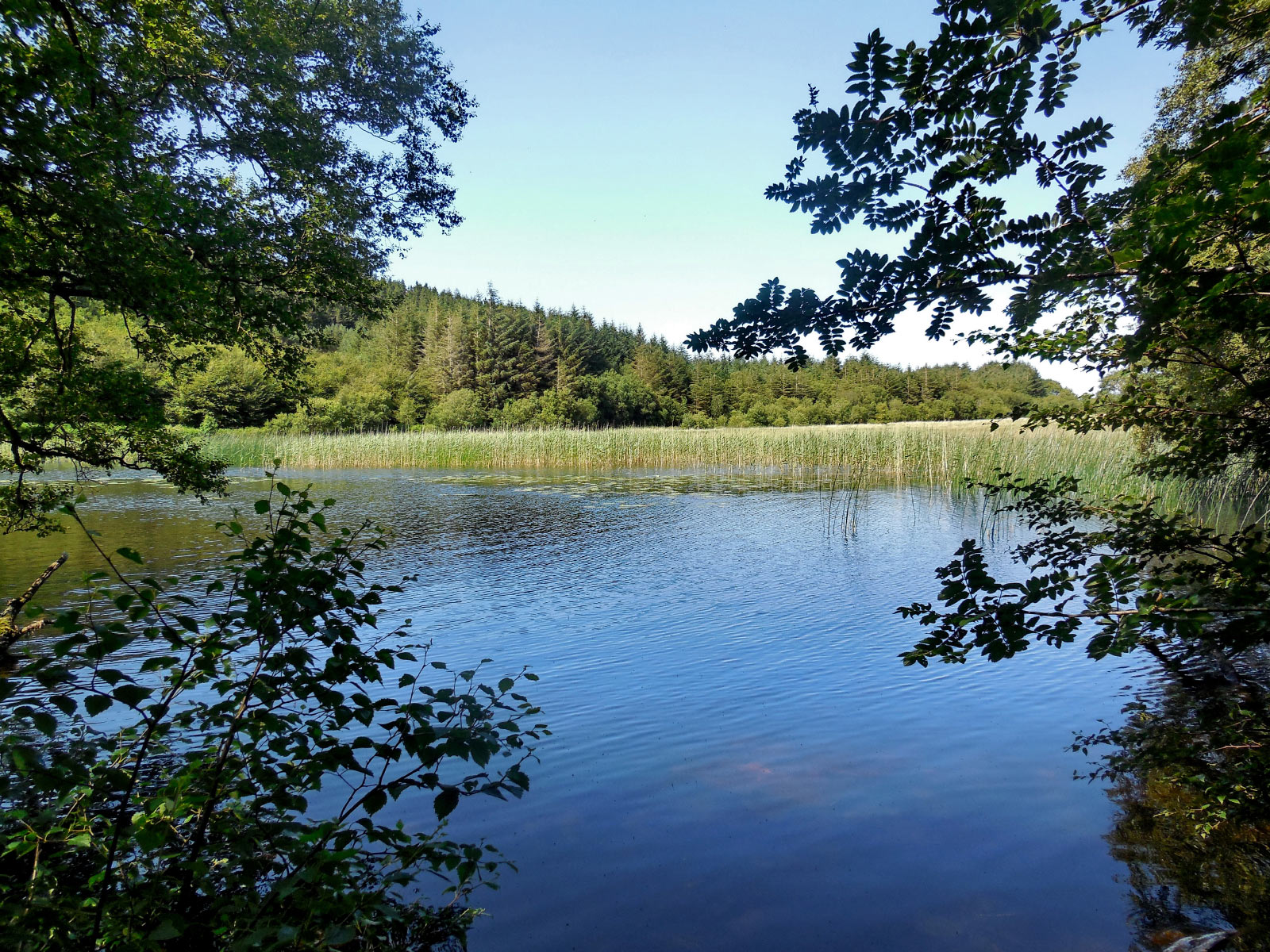 Gwernan Lake
